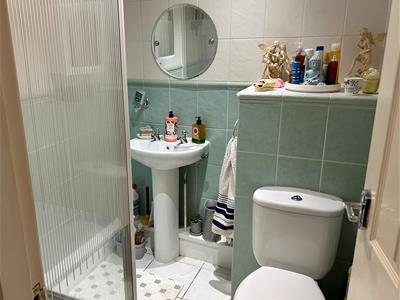Picture 8